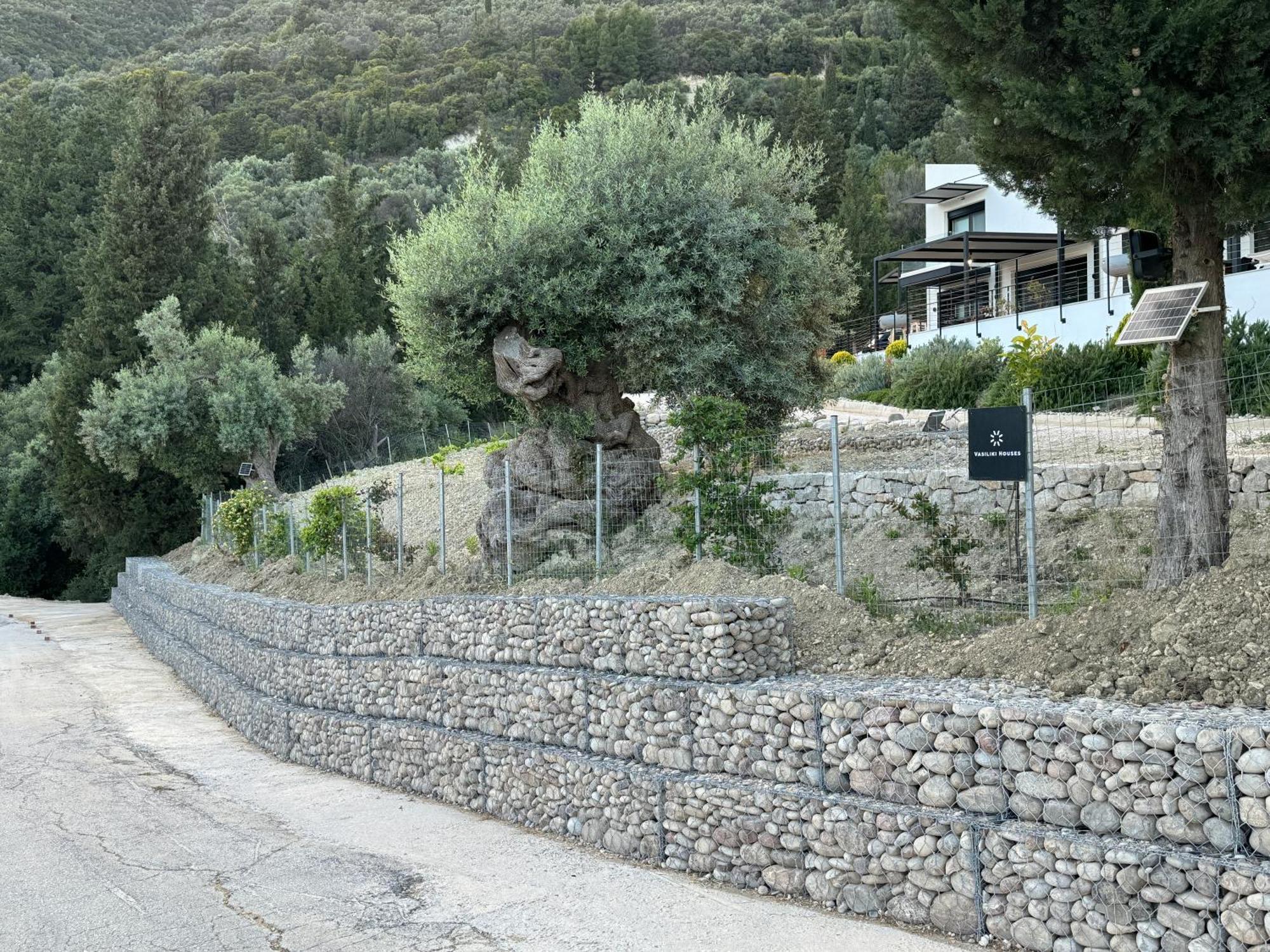 Vasiliki Houses Exteriér fotografie